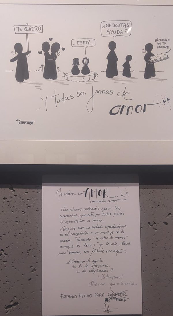 LO QUE HACE EL SOL CON LOS GIRASOLES. Contratación Exposición. - Imagen 3
